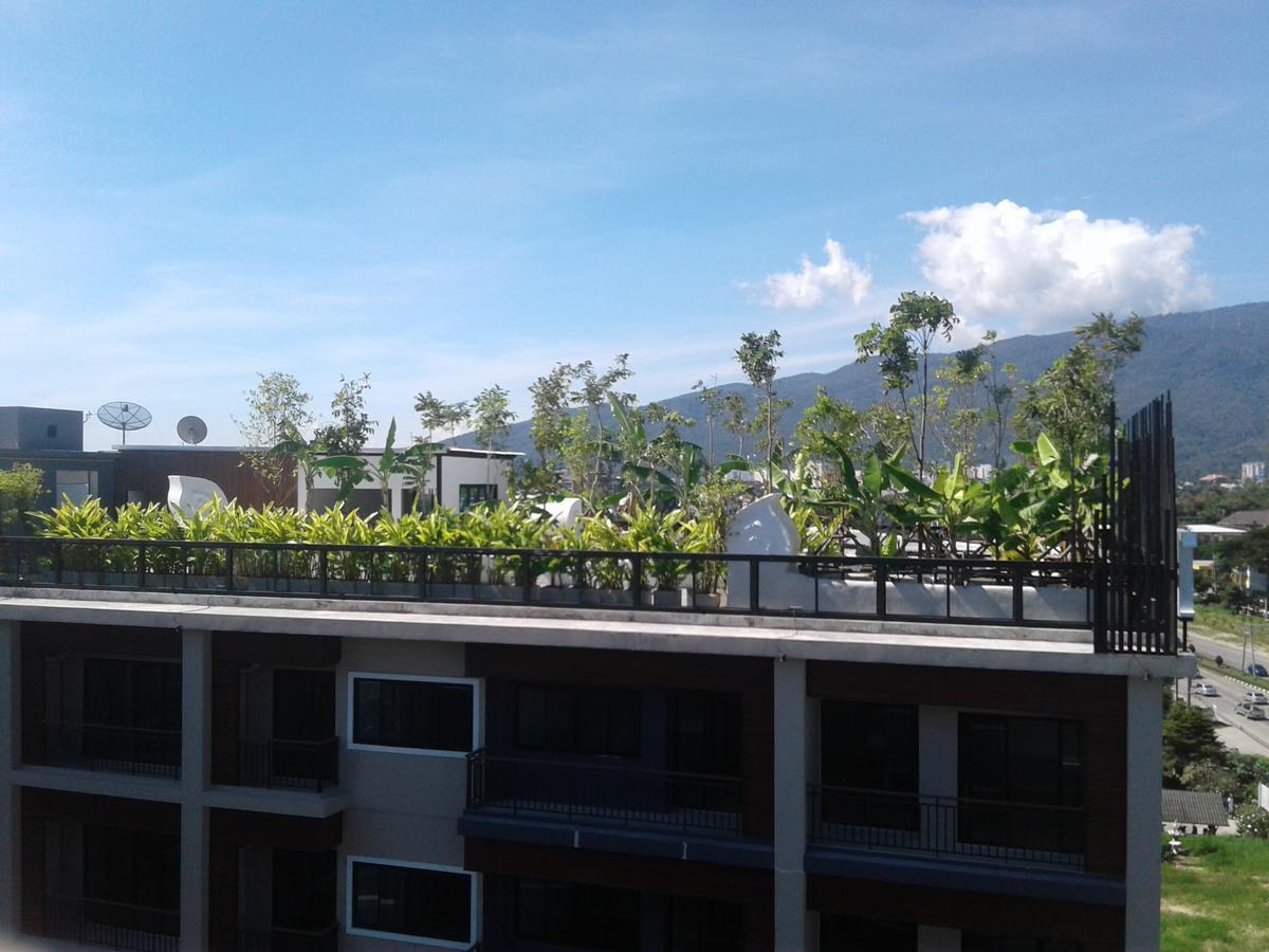 Icheck Inn Trams Square Chiang Mai Dış mekan fotoğraf